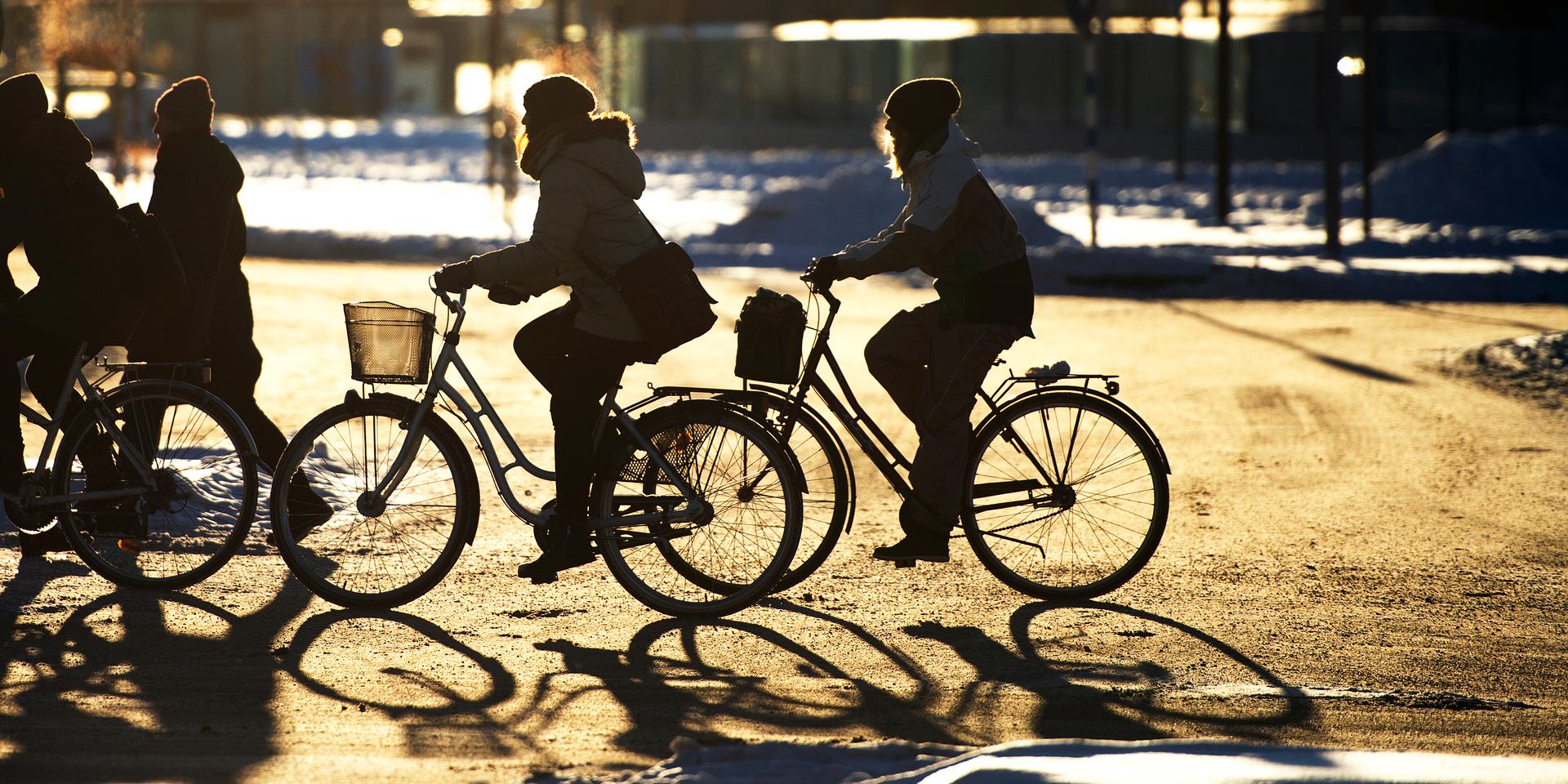 Nedan listas alla tips inför att cykla i vinter. Arkivbild. 