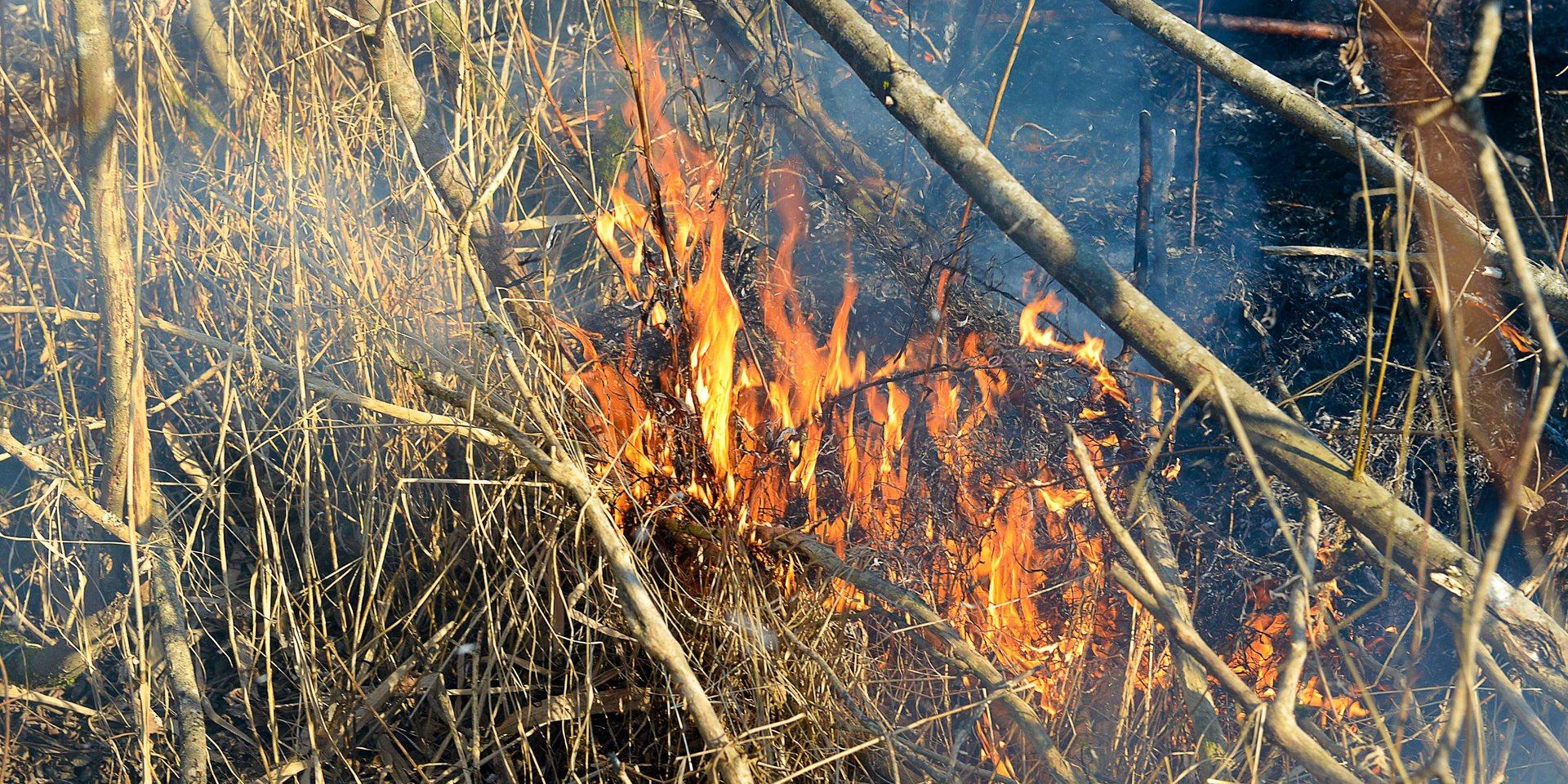 Det började brinna i marken i Långenäs på söndagen. Obs: Bilden är en arkvibild.