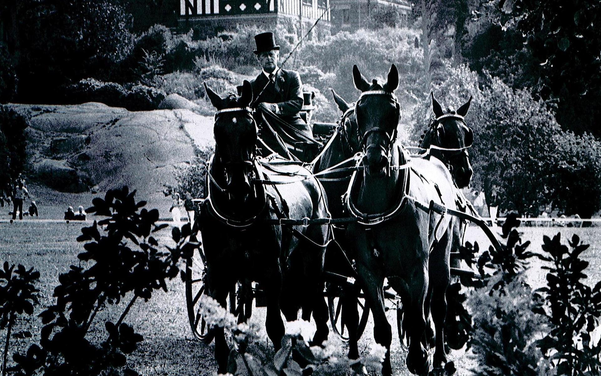 Prins Philip kör sitt fyrspann i den internationella tävlingen på Tjolöholms slott. Hästarna var hans egna som han hade med sig från England.