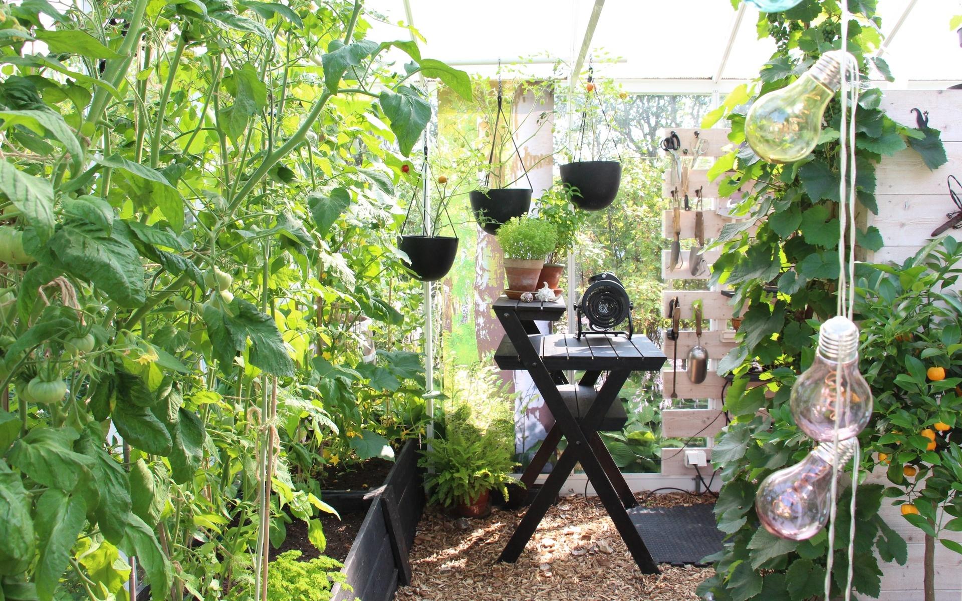 Marie Palmqvists växthus är som hennes oas, där sitter hon och njuter av en kopp kaffe om våren.