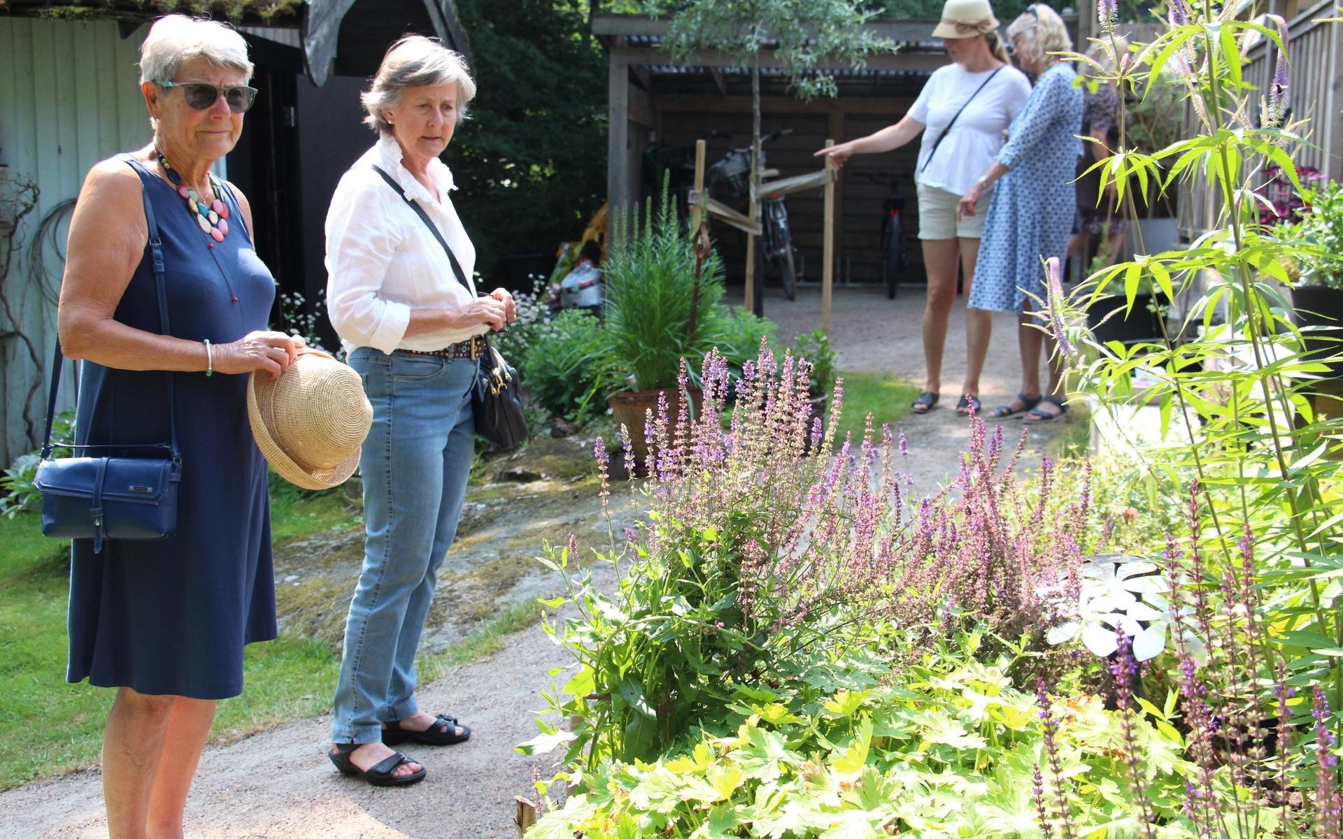 Meta Sandberg och Ilse Bergstrand tycker det är fantastiskt att få möjlighet att komma in och titta i trädgårdarna.
