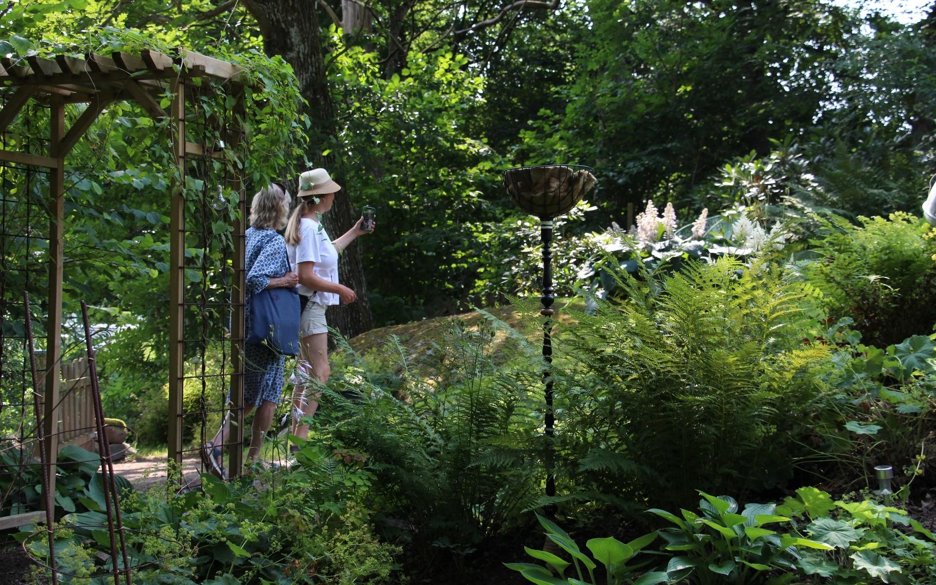 Trädgårdens dag var väldigt uppskattat där besökare fick titta in hos tio privatpersoner runt om i Vallda.