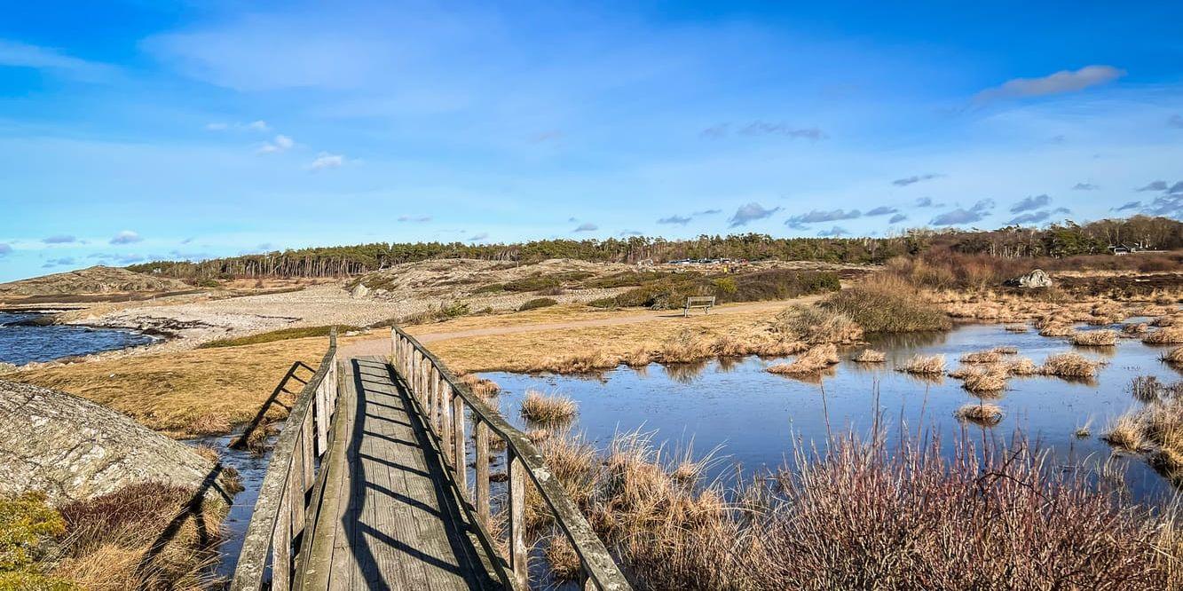 Näsbokrok naturreservat i Åsa.