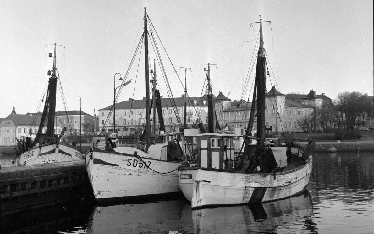 Strömstadsregistrerade fiskebåtar i Strömstads hamn cirka år 1970. 