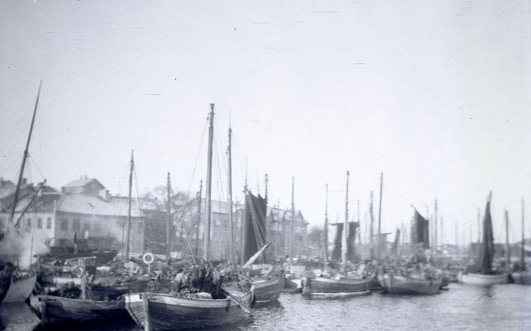 Snörpvadsflottan ligger samlad i Marstrands hamn i samband med vinterfisket. Bilden är tagen av Hugo Hallgren tidigast 1910. 