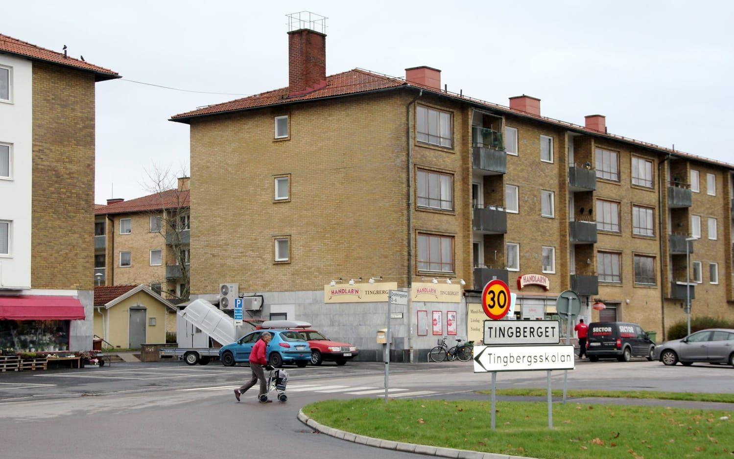 Husen på Tingberget byggdes på 1960-talet. Parallellt med att nya bostäder byggs planerar Aranäs att renovera de gamla.