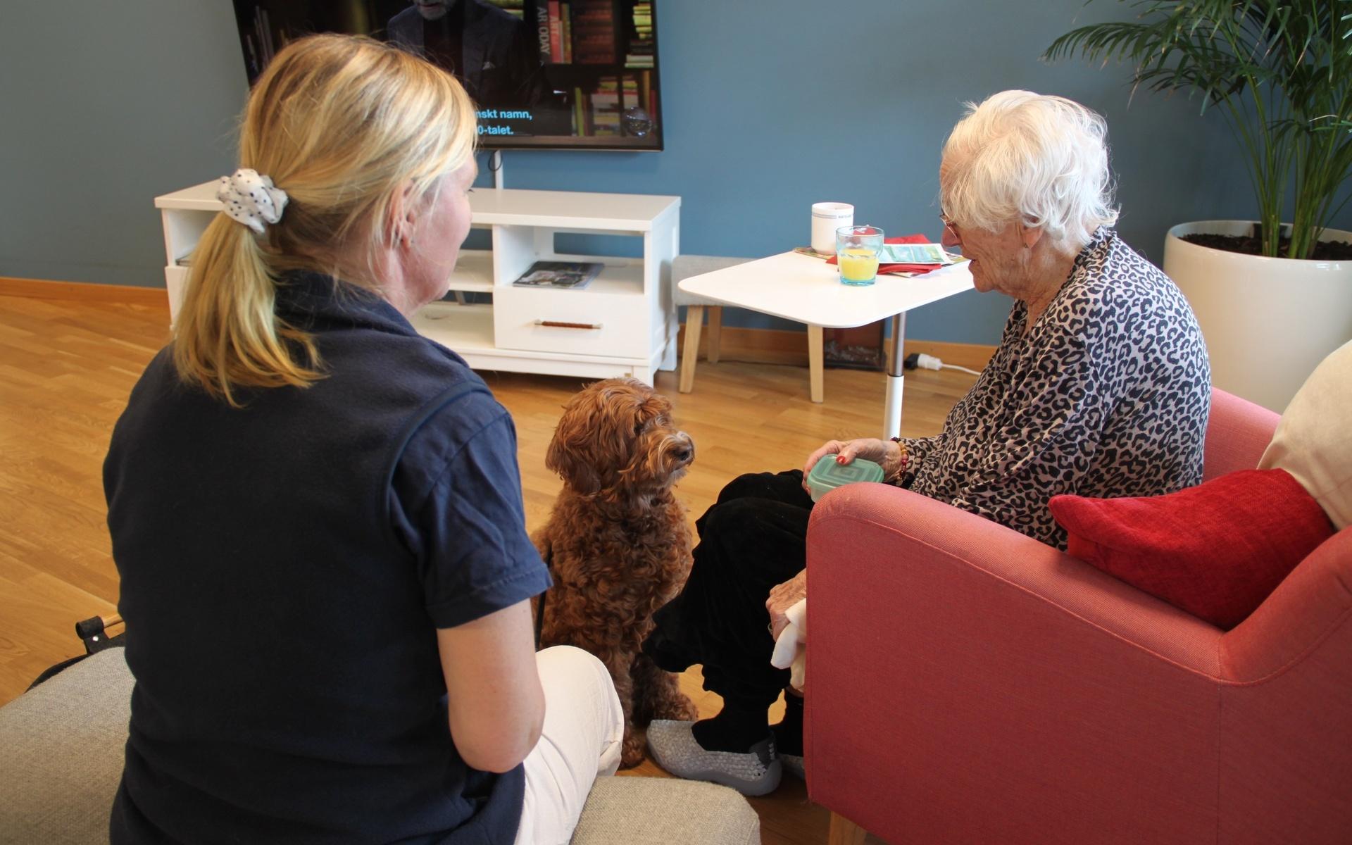Första mötet blir med Birgit, 92, år som får klappa och ge godis till Tosca. ”Det är så roligt att hunden kommer på besök”, säger hon.