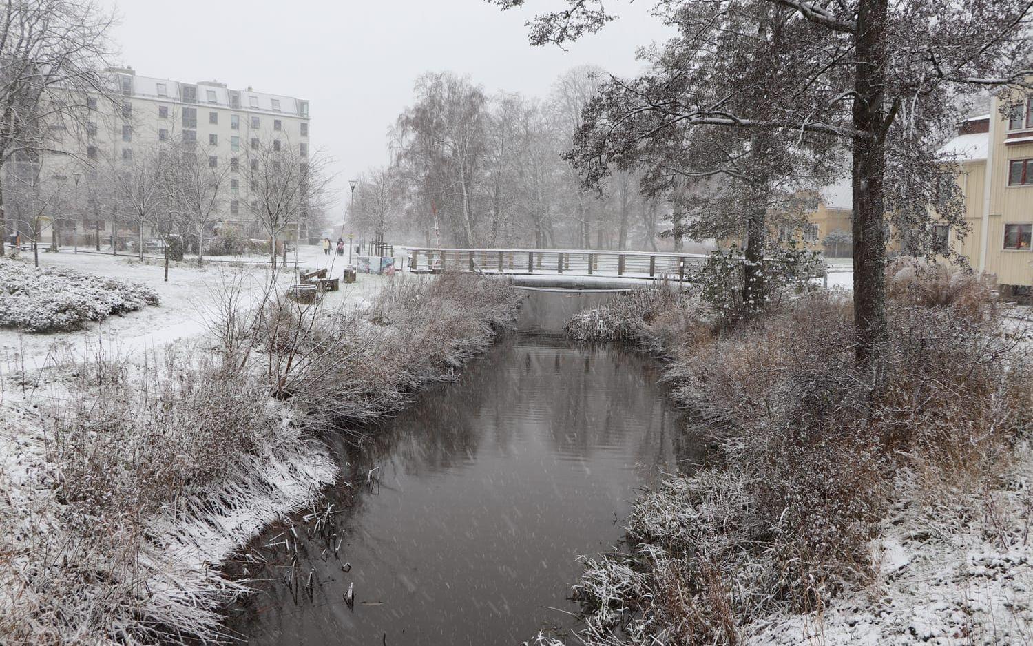 Snöfall i Kungsbacka.