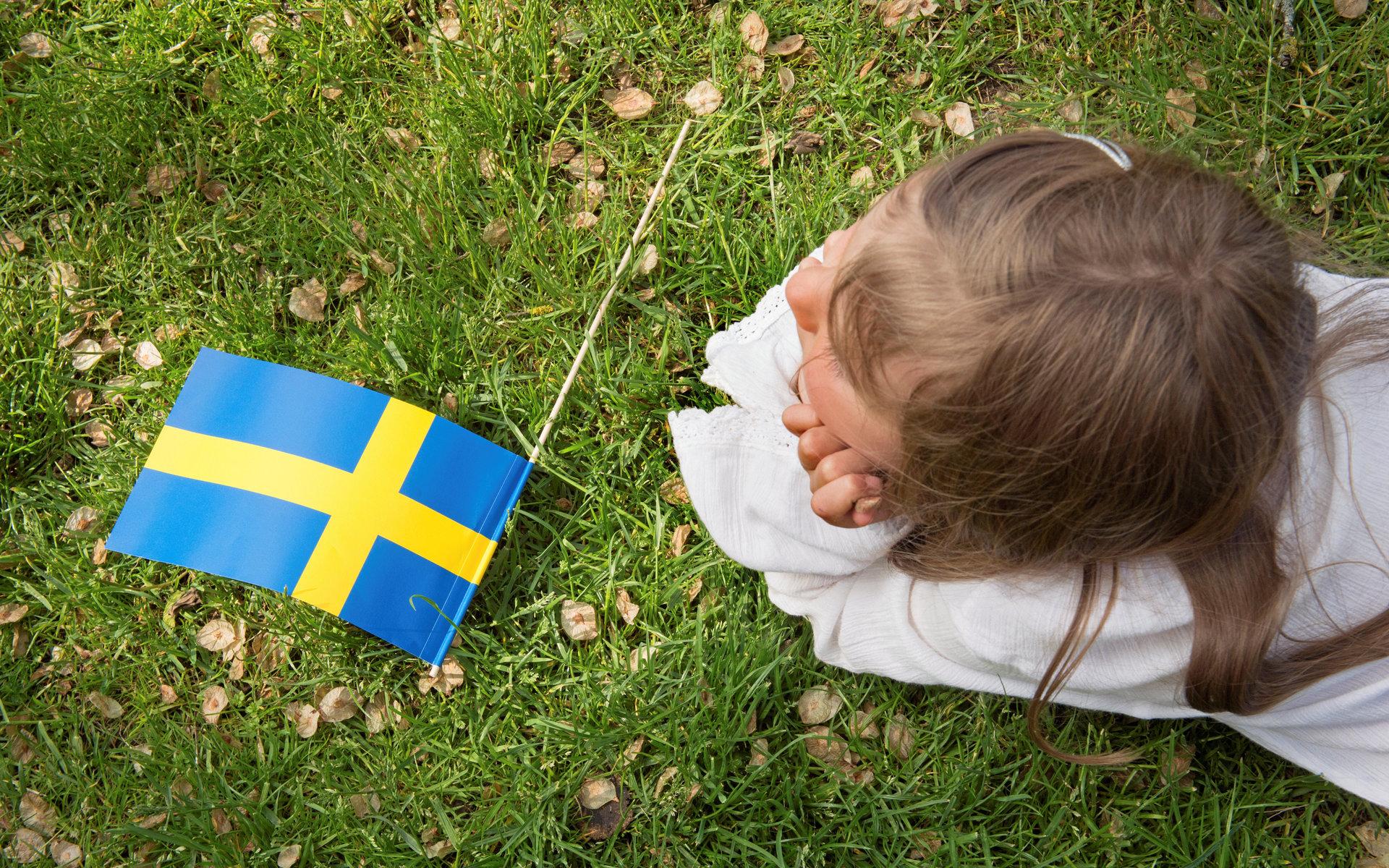 På måndag firas Sveriges nationaldag. 