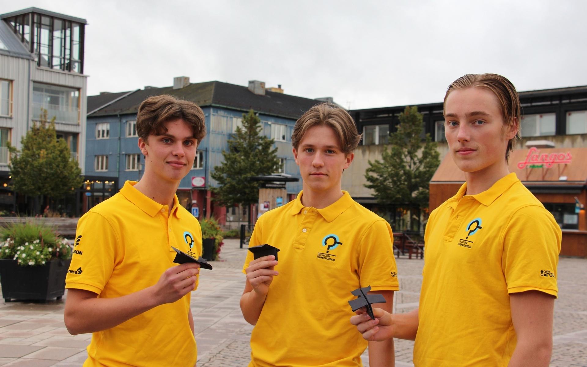 William McGillivray, Viktor Brink och Linus Karlsson utgör Sveriges landslag i EM för unga forskare.