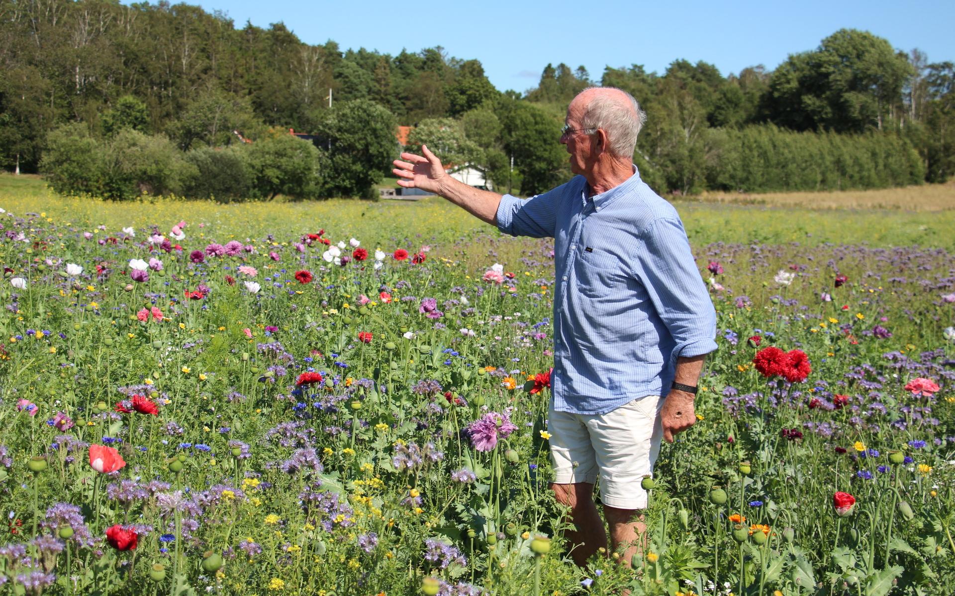 Nils Andersson har nu planer på att utöka blomsterprakten. ”Det är så vackert. Och roligare än rabatter.”