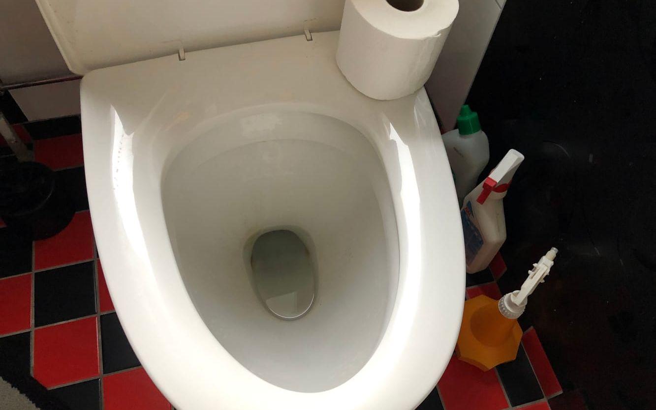 Toalettpapper, kiss och bajs. Det är det enda som ska ner i toalettstolen.