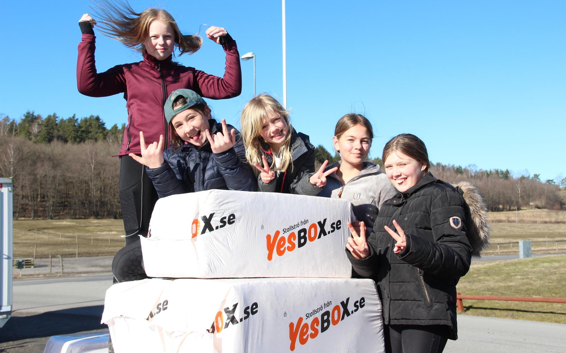 Ida Björesund 13 år, Sofia Paris 11 år, Svea Lindkvist 7 år, Stella Åberg, 7 år och Klara Lindkvist Andersen, 12 år hjälper till att lägga in spånbalar i de mobila boxarna.