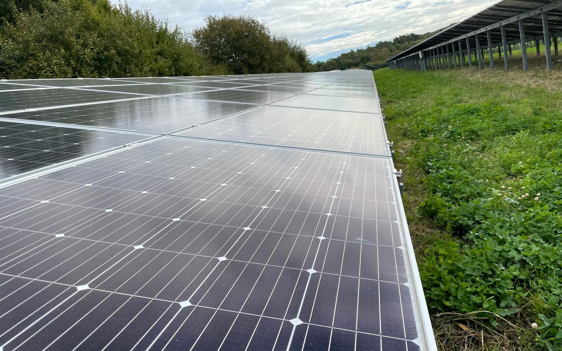 Totalt kommer drygt 1,5 MWp från solcellerna i Frillesås årligen.