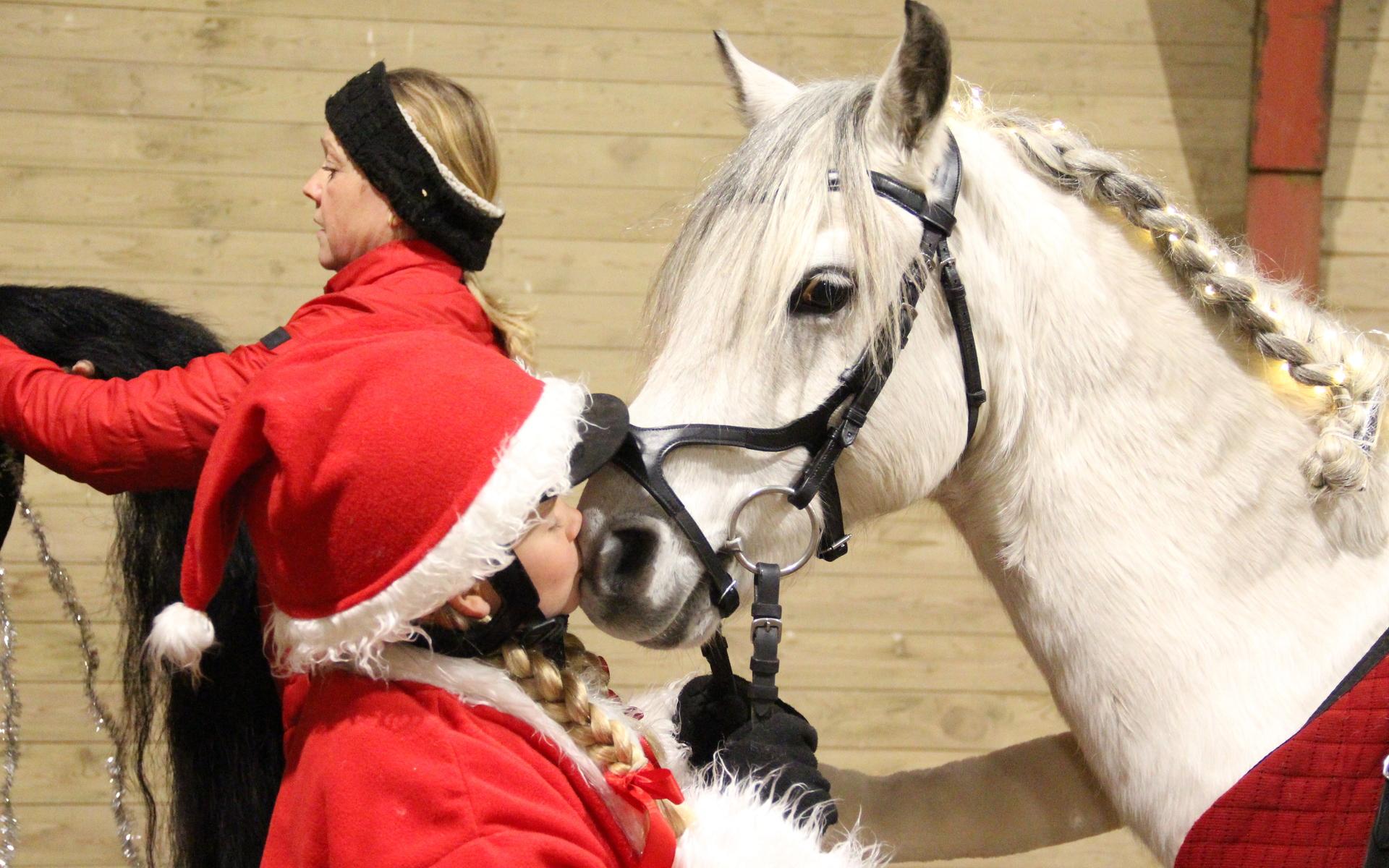 Clara Åkerberg ger hästen Lubbe en puss innan det är dags att sitta upp.