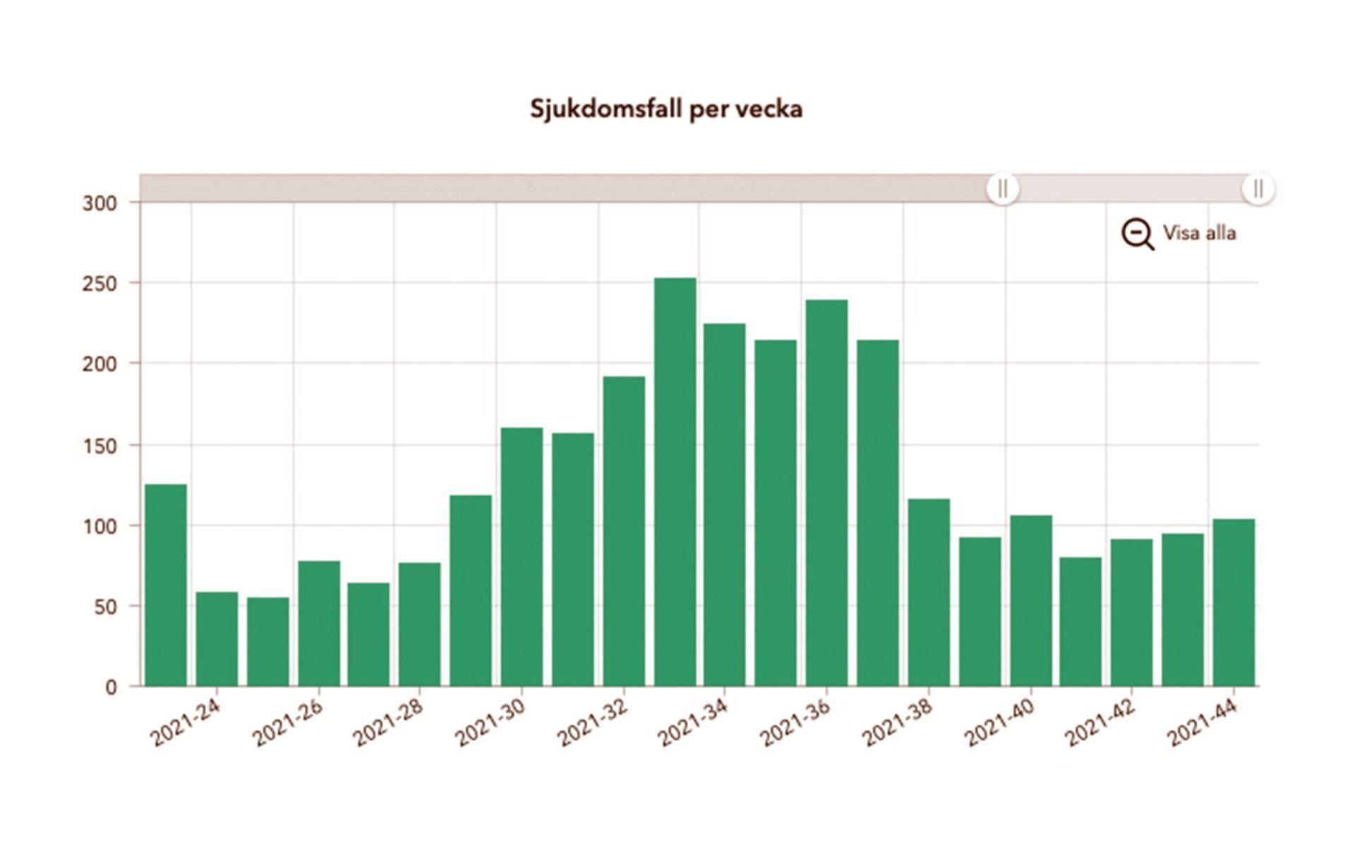 Grafen visar antal fall i Halland per vecka från sommaren fram till förra veckan. Denna veckan har omkring 150 nya fall upptäckts fram till och med mitten på fredag.